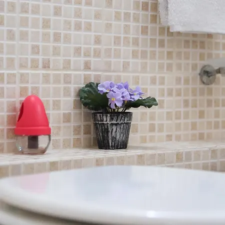 Nel Centro Storico Di - Via Meli's House アパート パレルモ