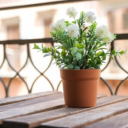 Nel Centro Storico Di - Via Meli's House パレルモ